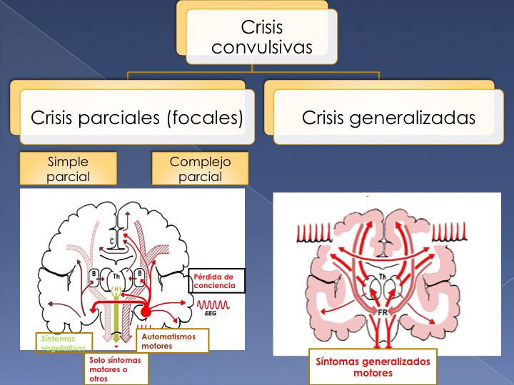 slide09.jpg