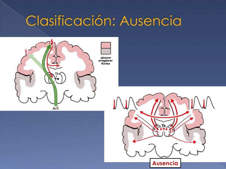 slide12.jpg