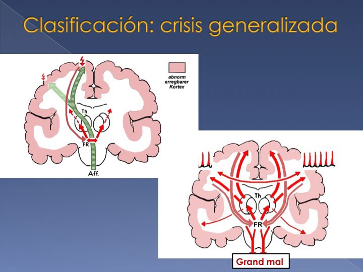 slide20.jpg