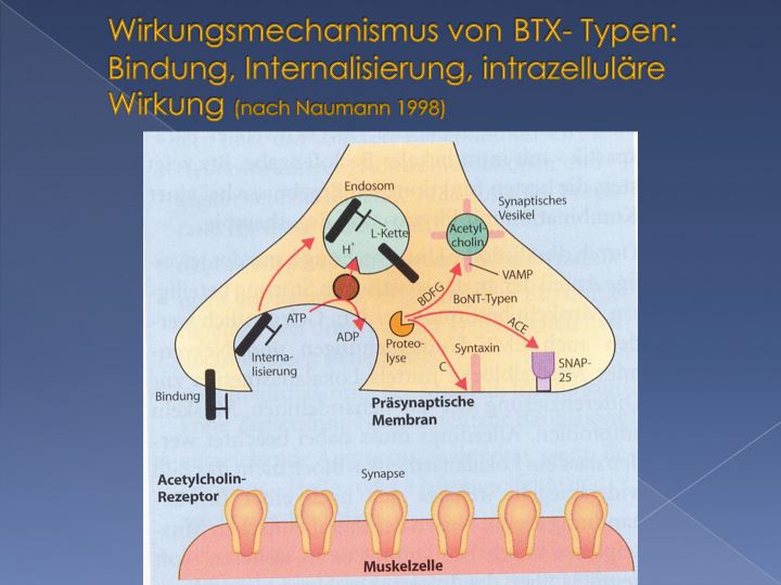 slide19.jpg